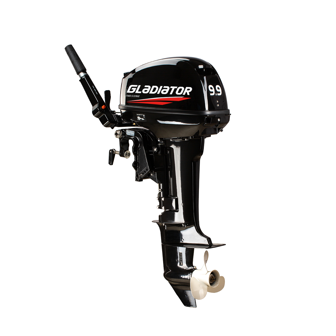 ЛОДОЧНЫЙ МОТОР GLADIATOR G9.9FHS в Бердске