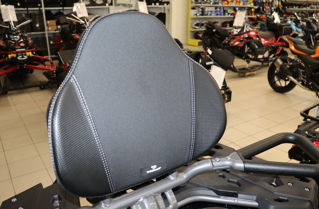 Квадроцикл PROMAX RENEGADE 300 LONG WINCH PRO (2025) в Бердске