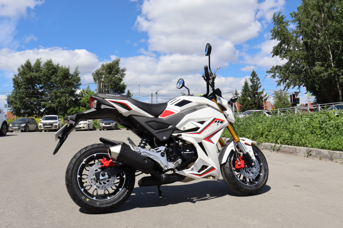 Мотоцикл PROMAX STRYKER 200(49) 2.0 в Бердске