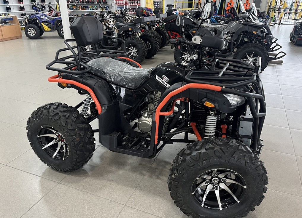 Квадроцикл PROMAX 300 4X4 ALL ROAD в Бердске