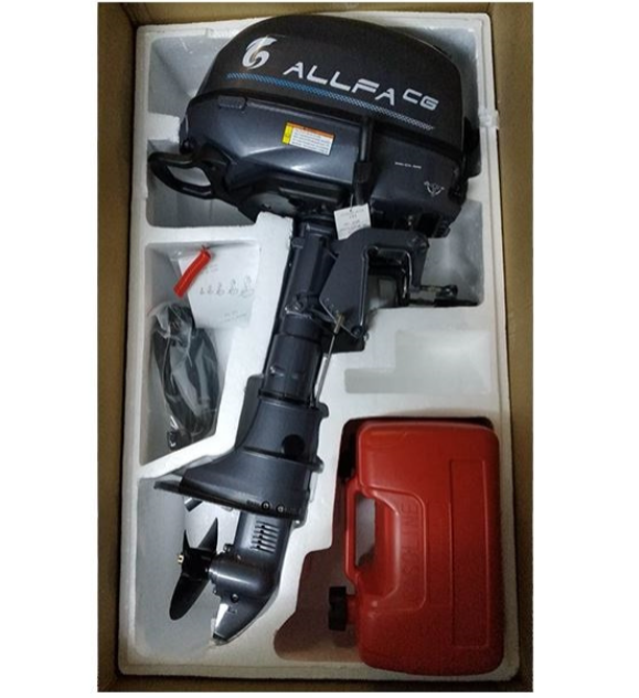 Лодочный мотор ALLFA CG F6 в Бердске