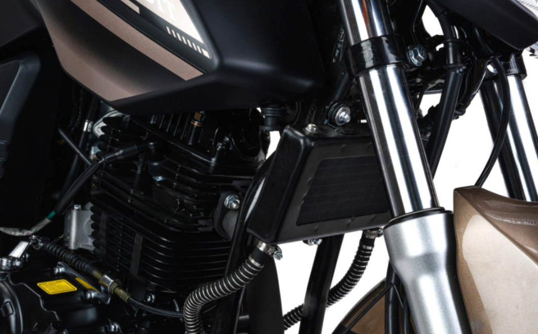 Мотоцикл MOTOLAND (МОТОЛЕНД) 300 BANDIT в Бердске