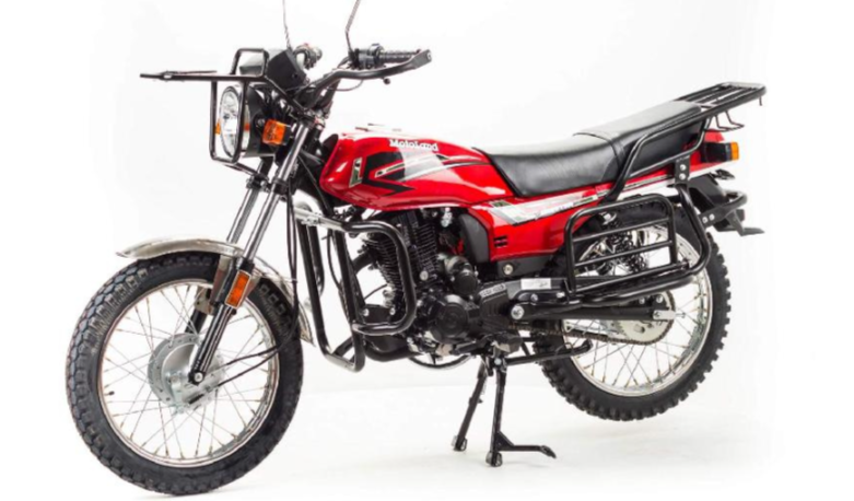 Мотоцикл MOTOLAND (МОТОЛЕНД) FORESTER LITE 200 в Бердске