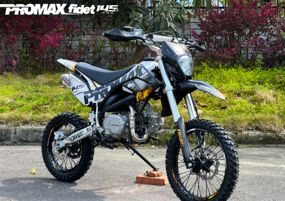 Мотоцикл (питбайк) PROMAX FIDET (ФАЙДЕТ) 145E PRO 17/14 в Бердске