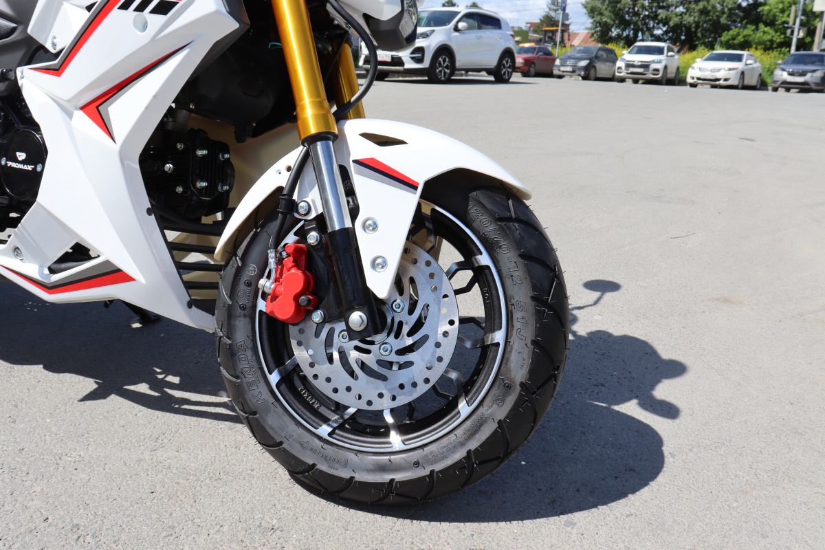 Мотоцикл PROMAX STRYKER 200(49) 2.0 в Бердске