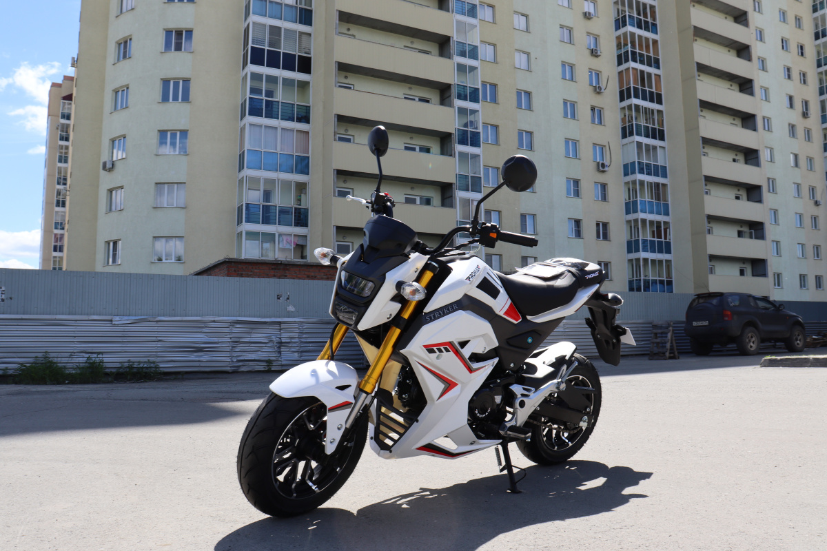 Мотоцикл PROMAX STRYKER 200(49) 2.0 в Бердске