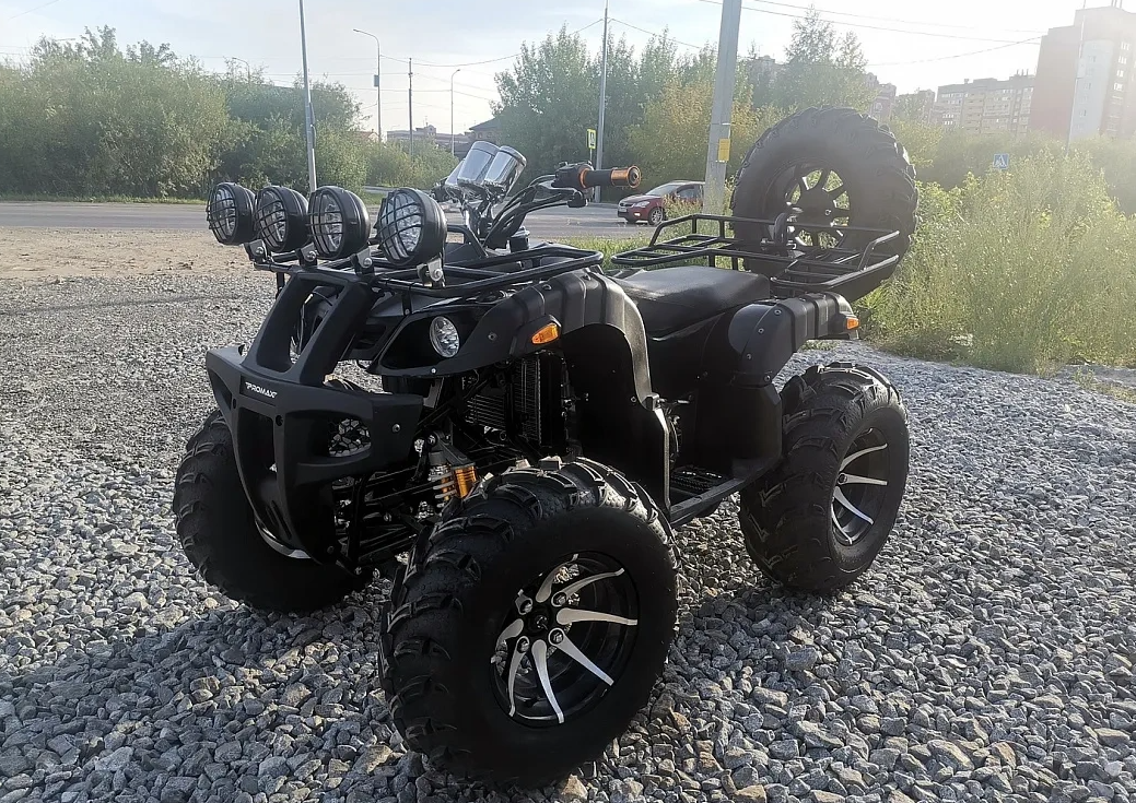 Квадроцикл PROMAX LEO 300 Max (кардан) в Бердске