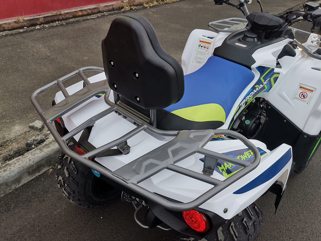 Квадроцикл PROMAX RENEGADE 280 LUX (2025) в Бердске