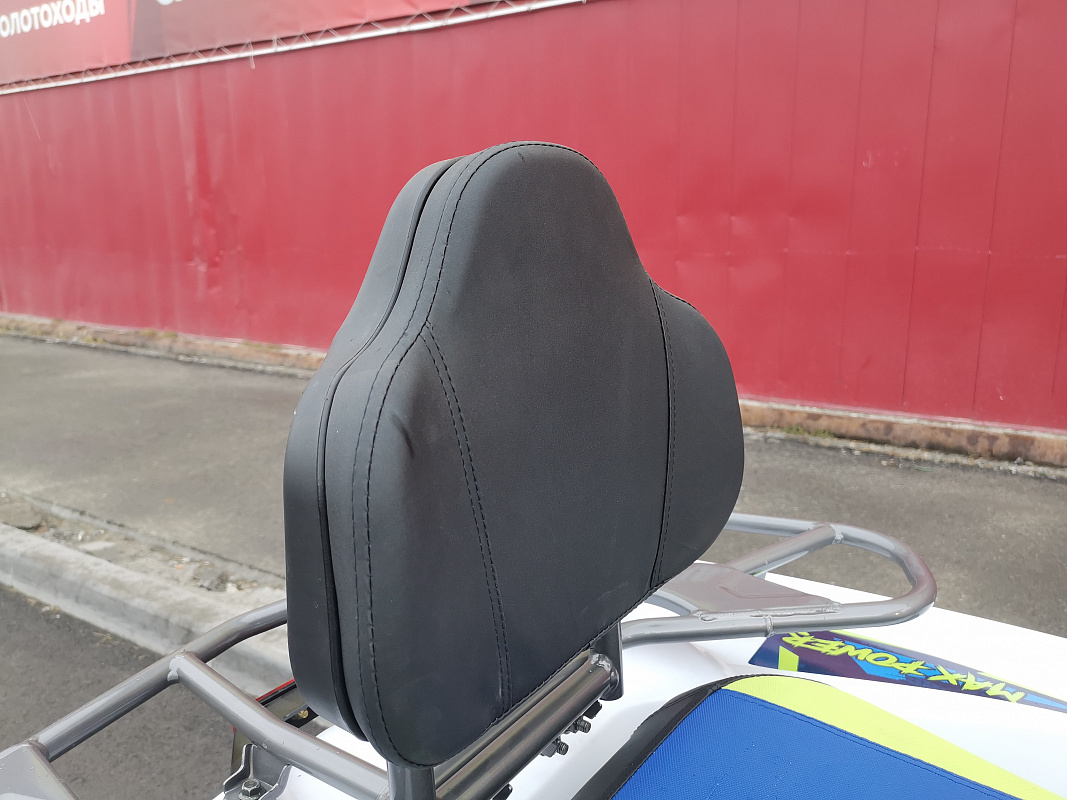 Квадроцикл PROMAX RENEGADE 280 LUX (2025) в Бердске