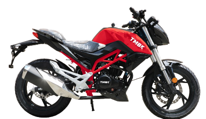 Мотоцикл TMBK Dukes 200cc в Бердске