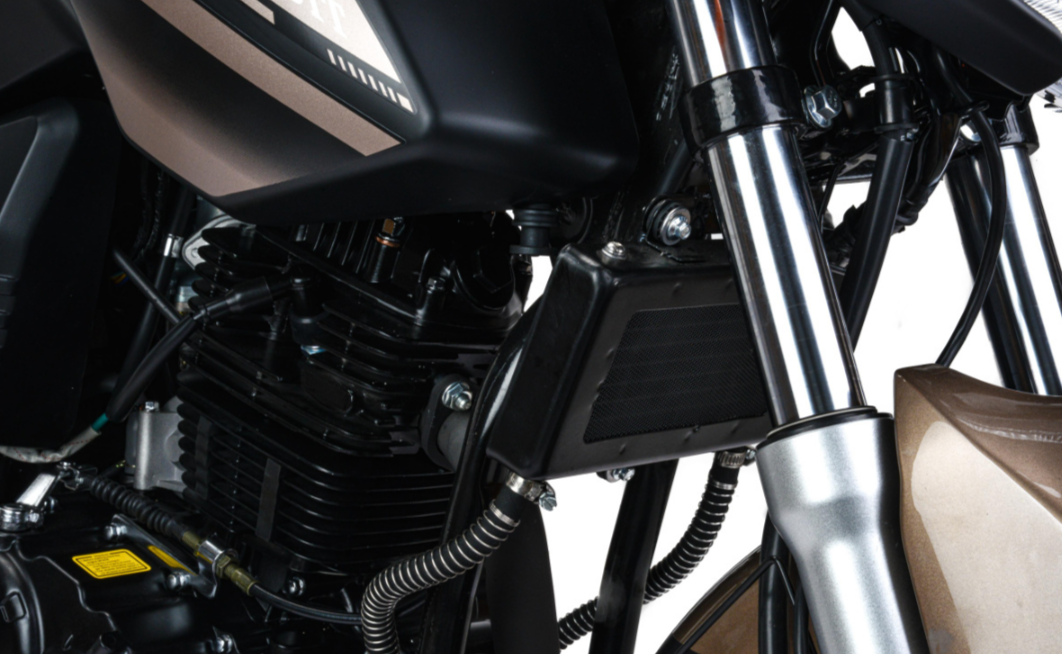 Мотоцикл MOTOLAND (МОТОЛЕНД) 300 BANDIT в Бердске