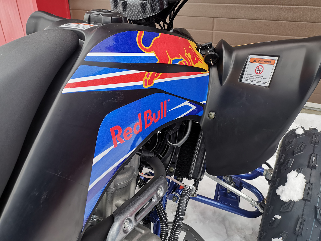 Квадроцикл PROMAX RAPTOR 300 NEW RedBull в Бердске