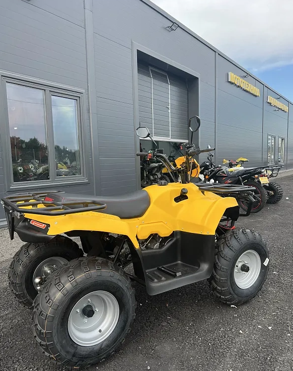 КВАДРОЦИКЛ IRBIS ATV 250  в Бердске