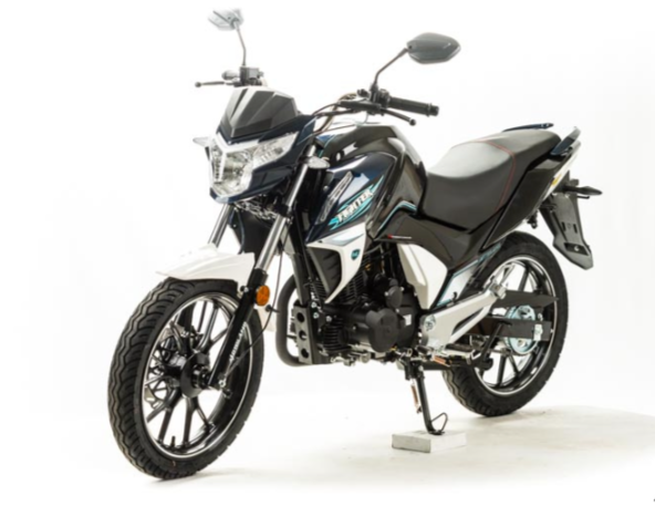 Мотоцикл MOTOLAND (МОТОЛЕНД) FIGHTER 250 в Бердске