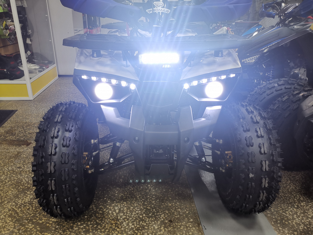 Квадроцикл PROMAX WILD 175 LUX в Бердске