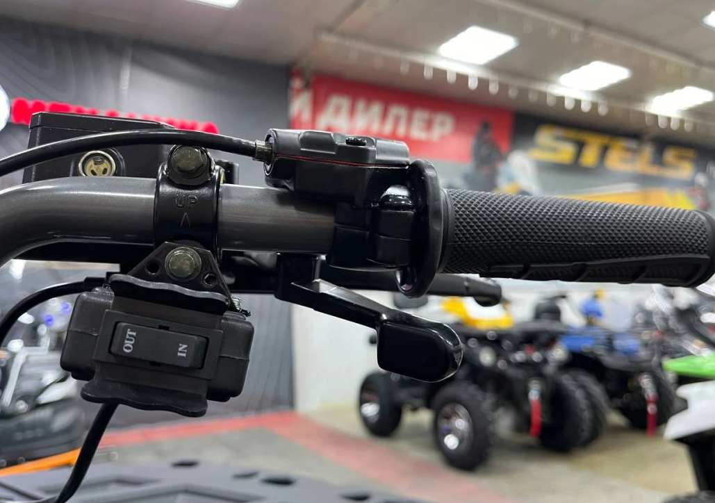 Квадроцикл PROMAX RENEGADE 300 LONG WINCH PRO (2025) в Бердске