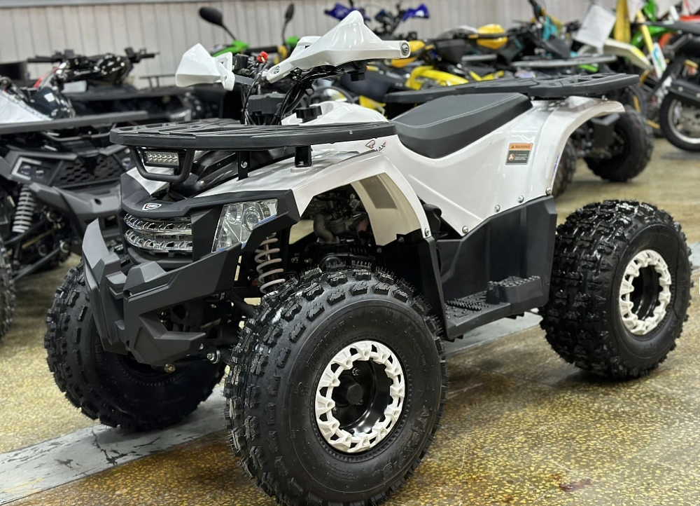 Квадроцикл PROMAX WILD 2.0 190 в Бердске