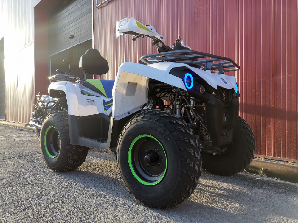 Квадроцикл PROMAX RENEGADE 280 LUX (2025) в Бердске