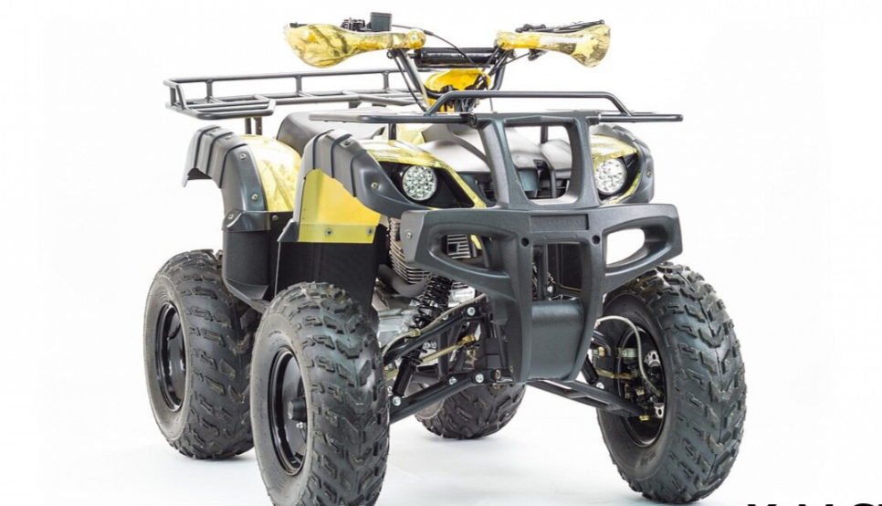 Квадроцикл MOTOLAND (МОТОЛЕНД) 250 ADVENTURE в Бердске