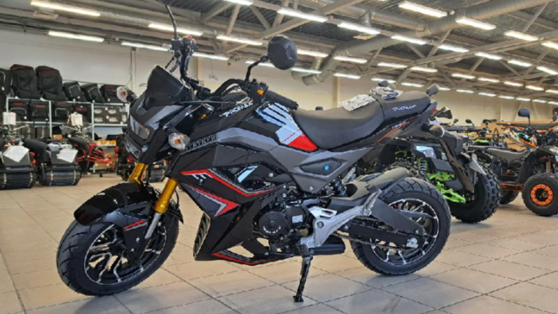 Мотоцикл PROMAX STRYKER 200(49) в Бердске