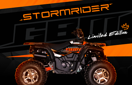 Квадроцикл GBM STORMRIDER 320 NEW LUX в Бердске