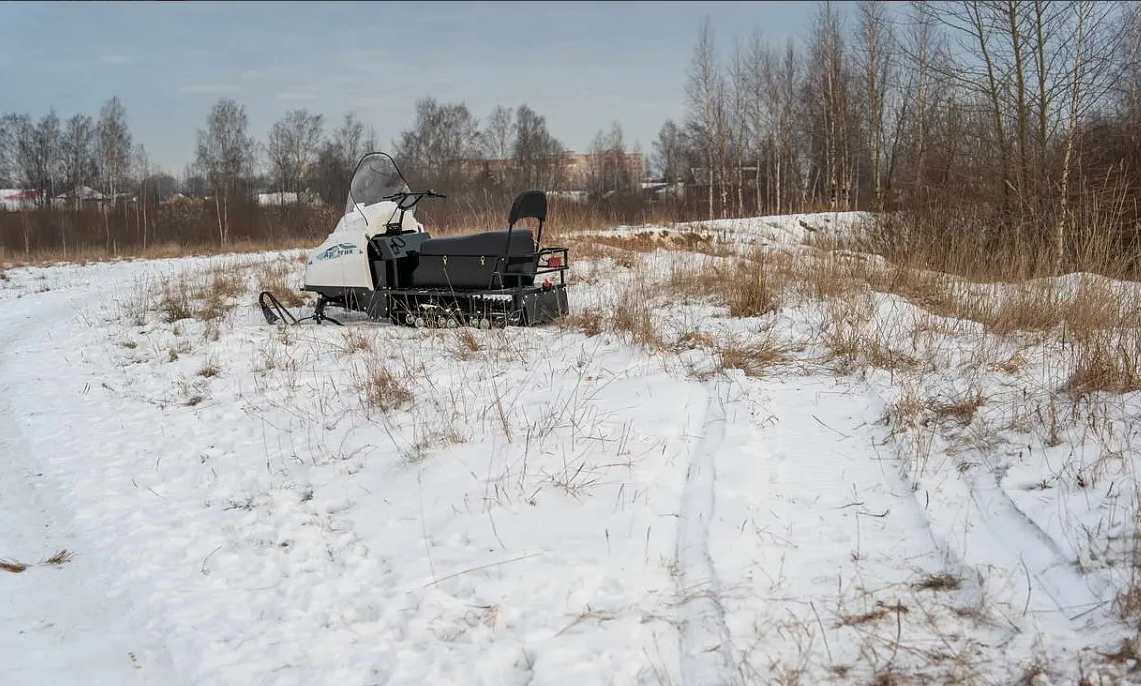 Снегоход БТС АРТИК 4Т /ЛОНГ/ 20 л.с. э/зап, реверс, тормоз в Бердске
