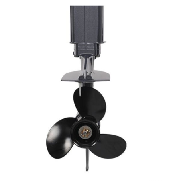 Лодочный мотор ALLFA CG Т40FW S в Бердске