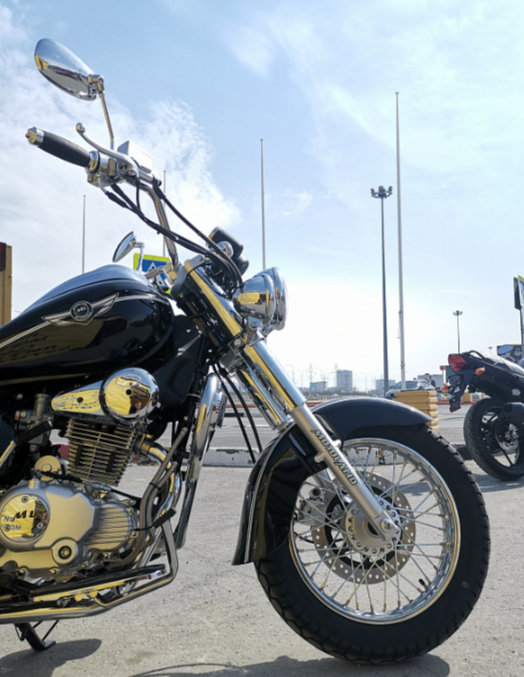 Мотоцикл MOTOLAND (МОТОЛЕНД) WOLF 250 в Бердске