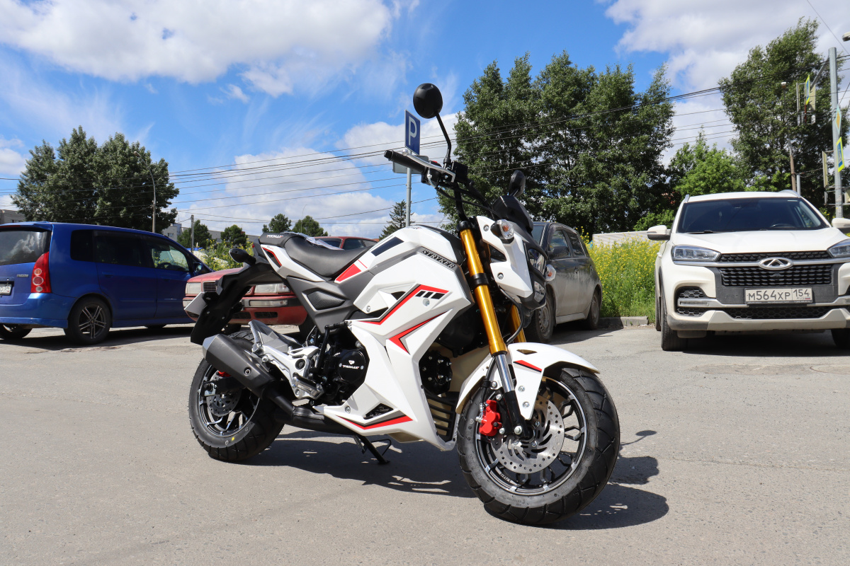 Мотоцикл PROMAX STRYKER 200(49) 2.0 в Бердске