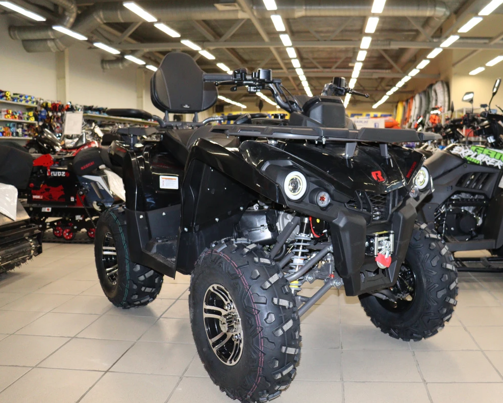 Квадроцикл PROMAX RENEGADE 300 LONG WINCH PRO (2025) в Бердске