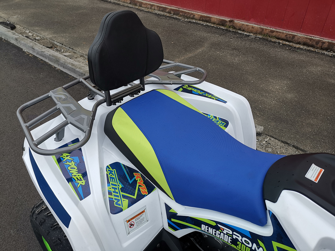 Квадроцикл PROMAX RENEGADE 280 LUX (2025) в Бердске