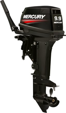 ЛОДОЧНЫЙ МОТОР MERCURY 9.9 MH TMC 247 CC в Бердске