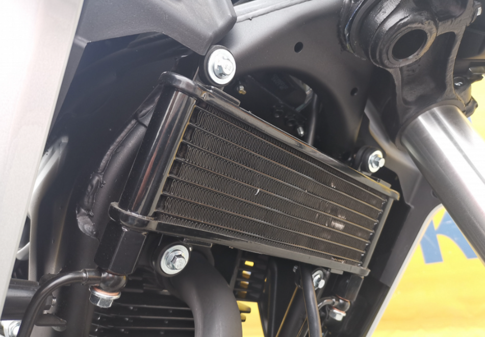 Мотоцикл MOTOLAND (МОТОЛЕНД) 250 CB250 (172FMM-5/PR250) (2022 г.) в Бердске