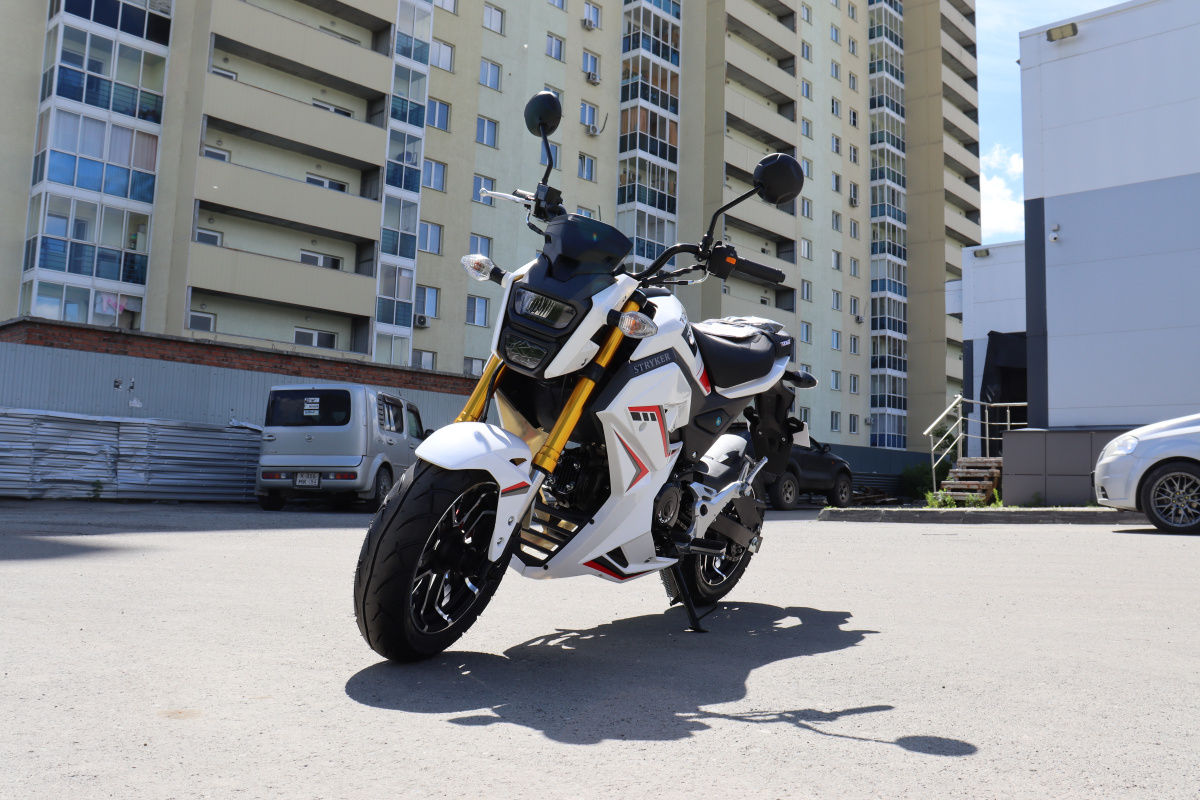 Мотоцикл PROMAX STRYKER 200(49) 2.0 в Бердске
