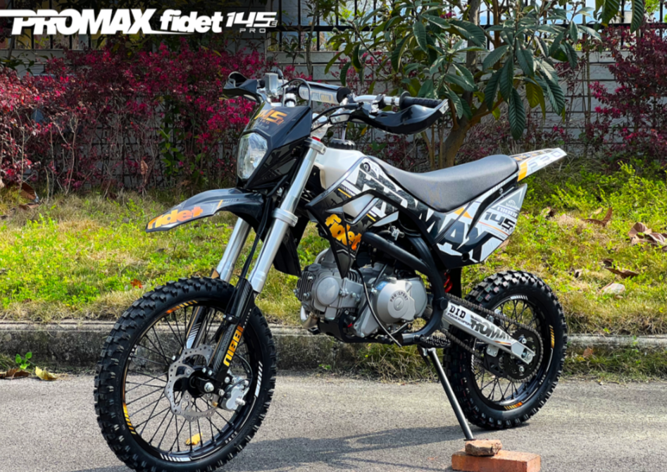 Мотоцикл (питбайк) PROMAX FIDET (ФАЙДЕТ) 145E PRO 17/14 в Бердске