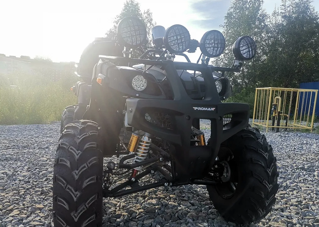 Квадроцикл PROMAX LEO 300 Max (кардан) в Бердске