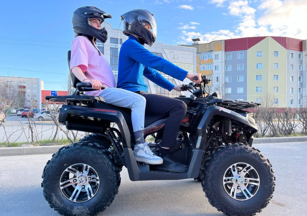 Квадроцикл PROMAX RENEGADE 300 LONG WINCH PRO (2025) в Бердске