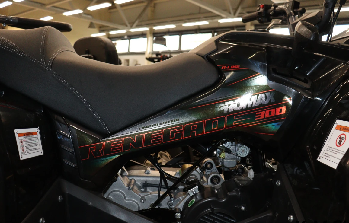 Квадроцикл PROMAX RENEGADE 300 LONG WINCH PRO (2025) в Бердске
