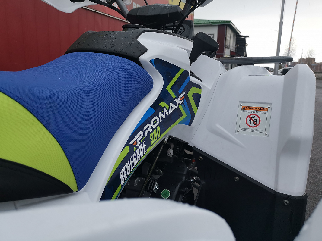 Квадроцикл PROMAX RENEGADE 280 LUX (2025) в Бердске
