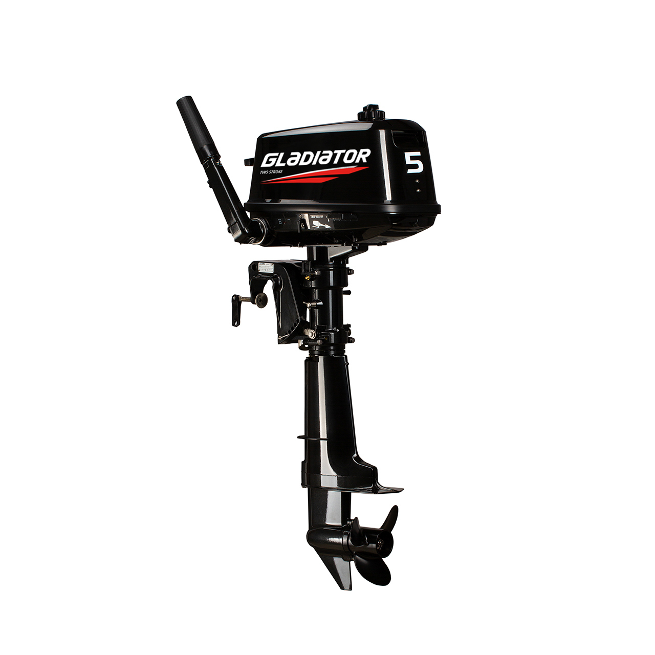 ЛОДОЧНЫЙ МОТОР GLADIATOR G5FHS в Бердске