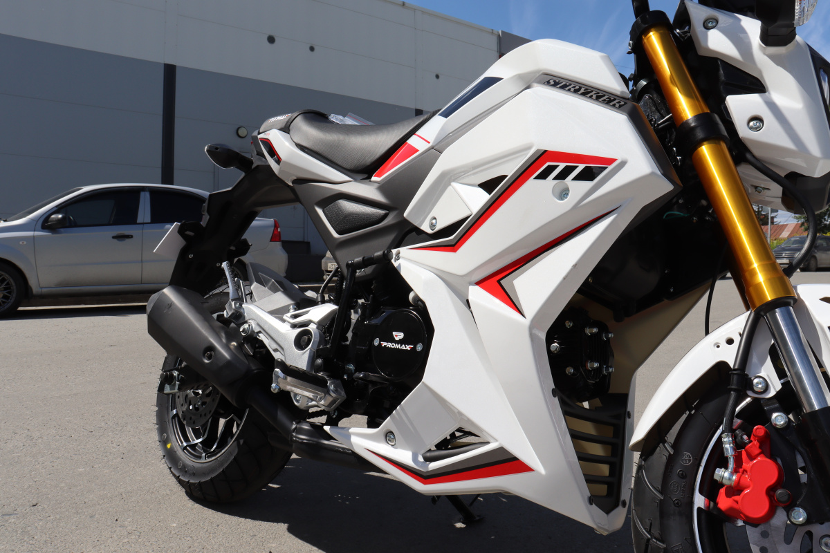 Мотоцикл PROMAX STRYKER 200(49) 2.0 в Бердске