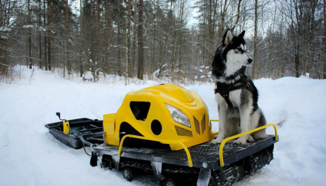 Мотобуксировщик LEBEDEV MOTORS ВОЛКОДАВ POWER V13 в Бердске