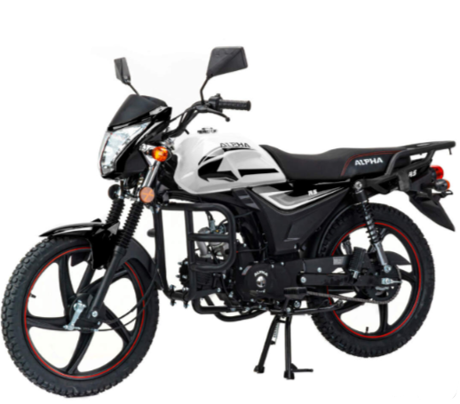 Мопед MOTOLAND (МОТОЛЕНД) Альфа RS 11 (LM48-B) в Бердске