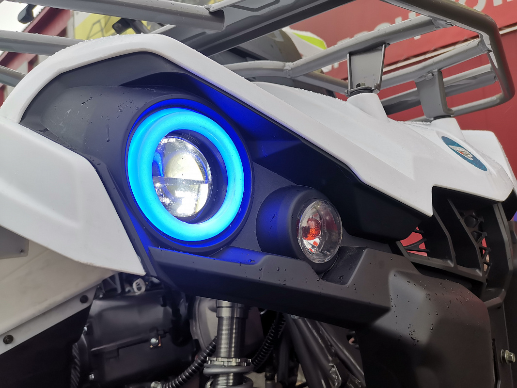 Квадроцикл PROMAX RENEGADE 280 LUX (2025) в Бердске