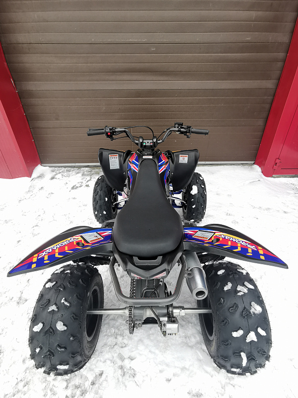 Квадроцикл PROMAX RAPTOR 300 NEW RedBull в Бердске