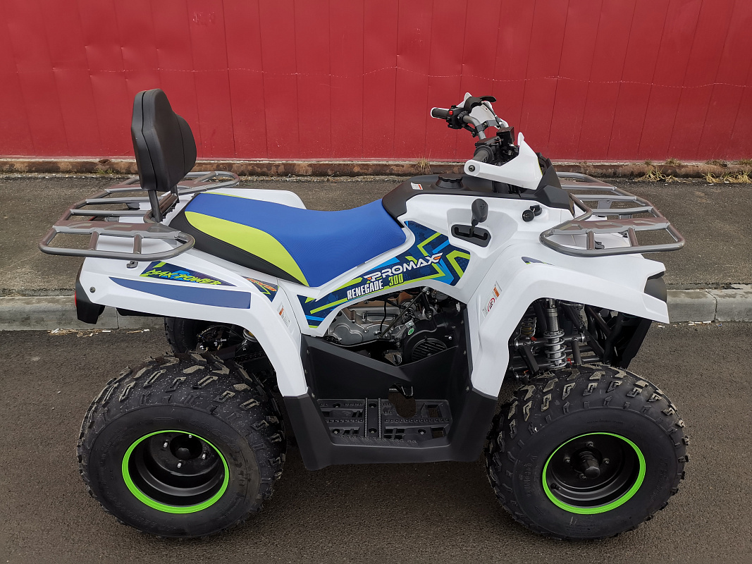 Квадроцикл PROMAX RENEGADE 280 LUX (2025) в Бердске