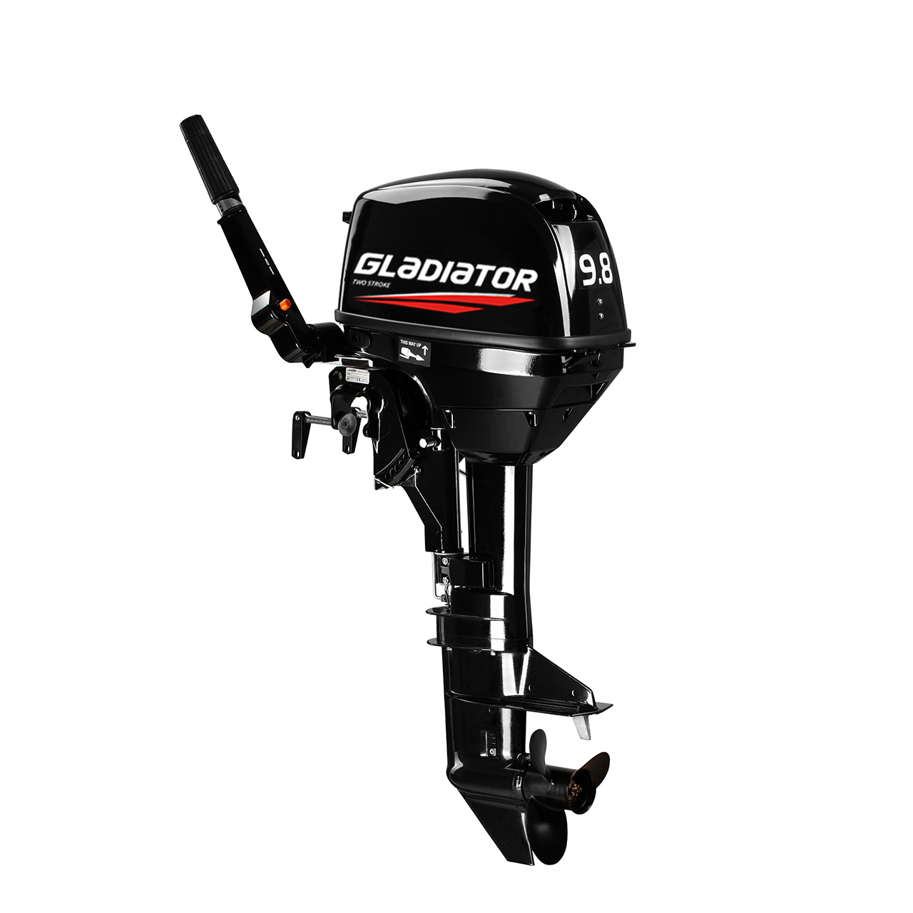 ЛОДОЧНЫЙ МОТОР GLADIATOR G9.8FHS в Бердске