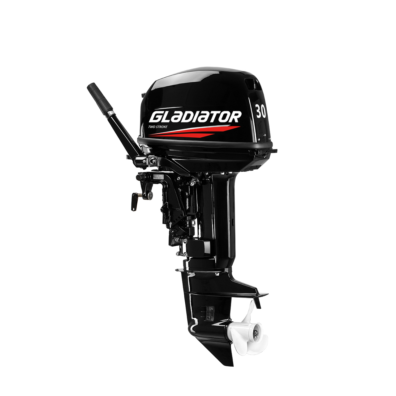 ЛОДОЧНЫЙ МОТОР GLADIATOR G30FHS в Бердске