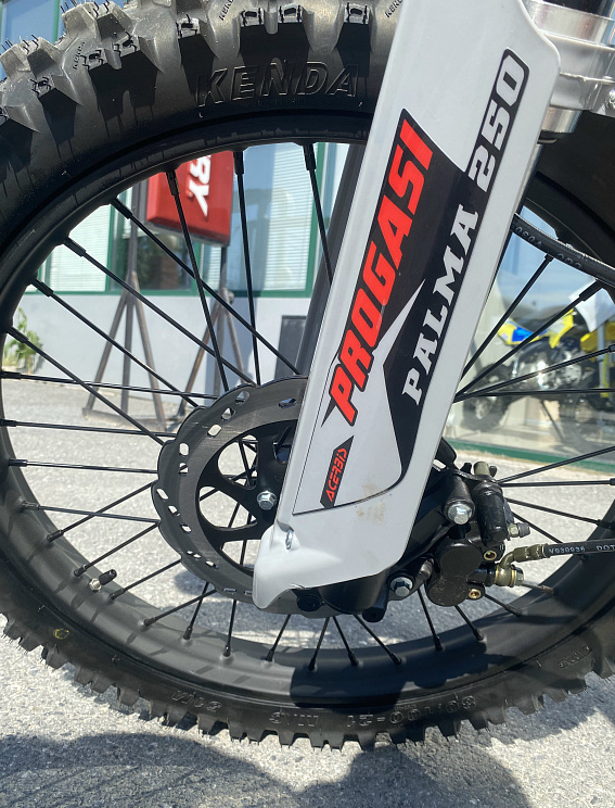 Мотоцикл Progasi PALMA 300 NEW (CB300F) в Бердске