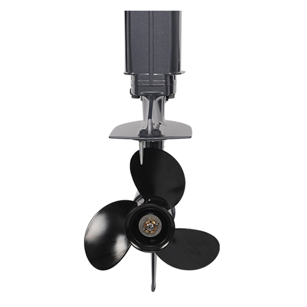 ЛОДОЧНЫЙ МОТОР ALLFA CG Т20 в Бердске